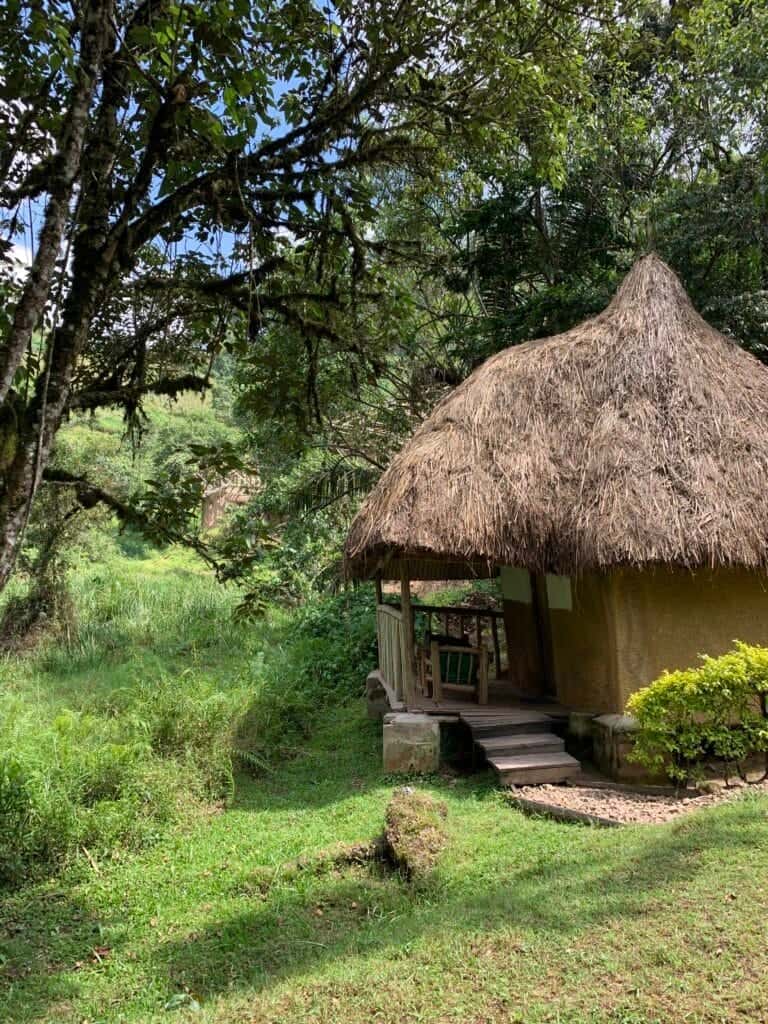 Our Accommodation in Bwindi