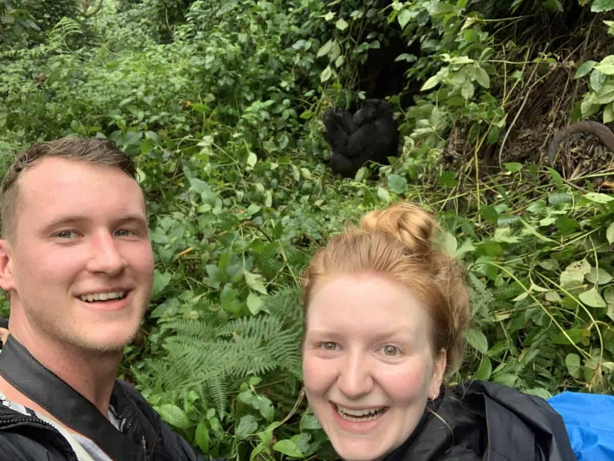 mountain gorilla trekking in uganda 