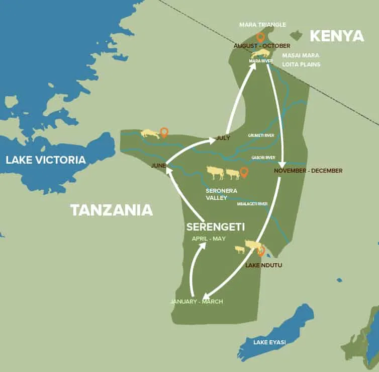 Mapa de la migración de los Ñus (AFRICA TANZANIA)