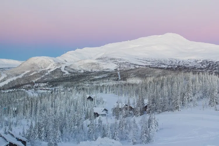 La vida silvestre de Suecia como una perspectiva de invierno nevado