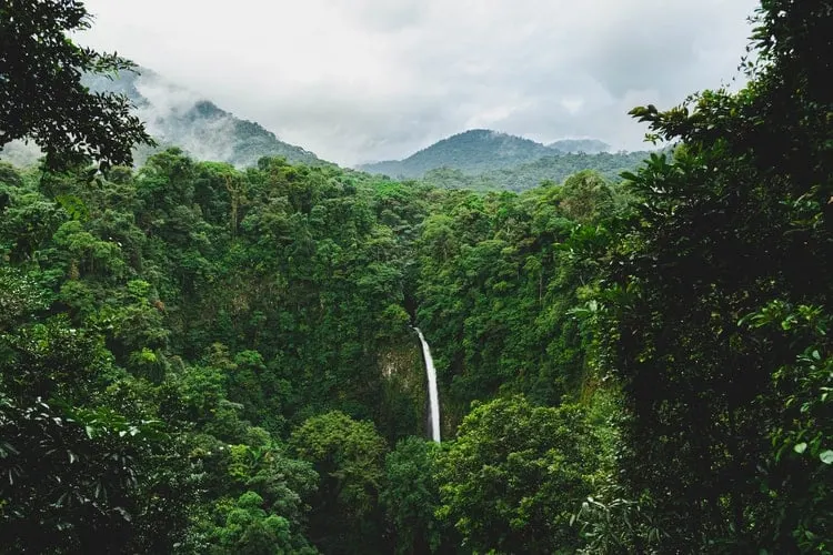 Corcovado-Nationalpark, Costa Rica