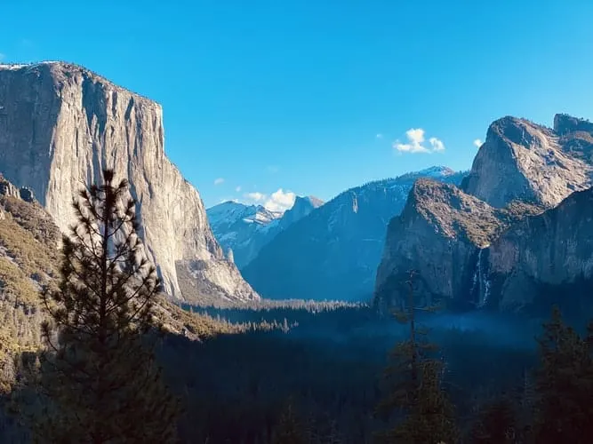 Wildtiere während der Abriegelung des Yosemite Nationalparks 