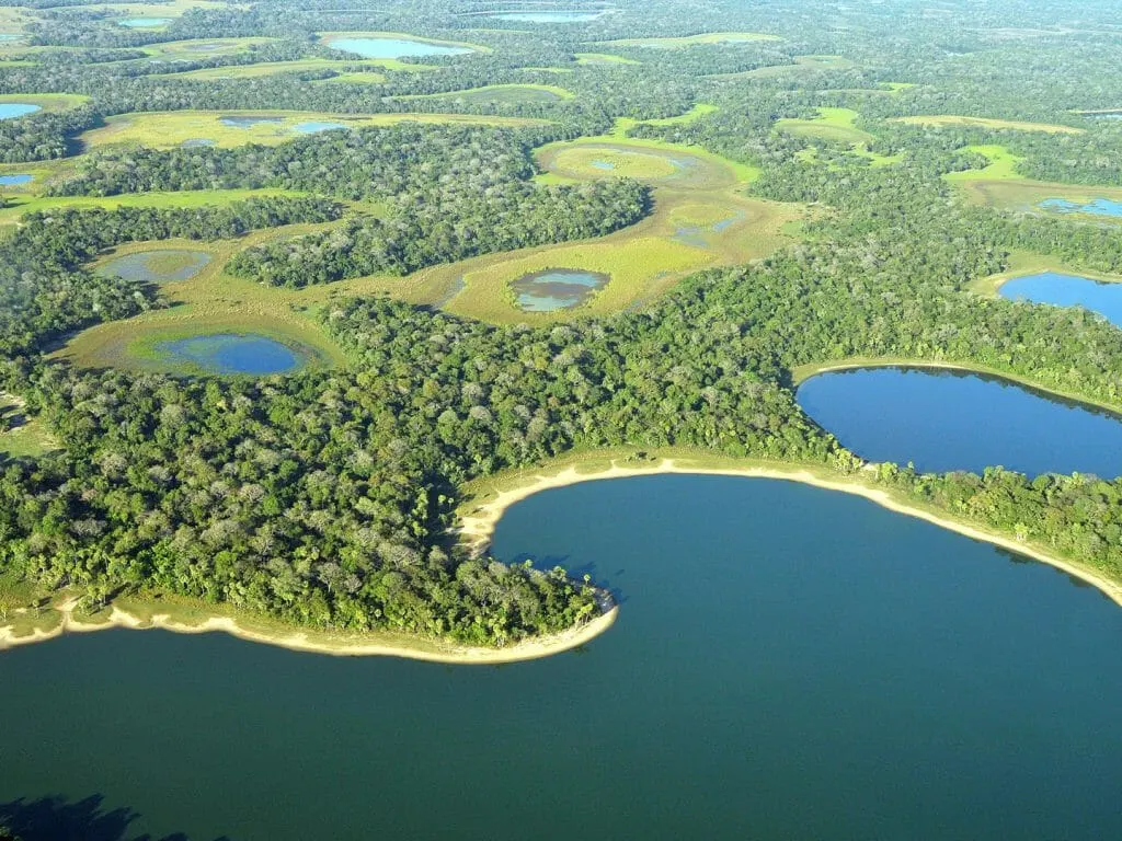 siehe Jaguare Caiman Ökologisches Reservat, südliches Pantanal, Brasilien