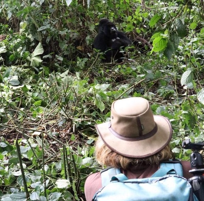 Kate with gorilla in verunga national park