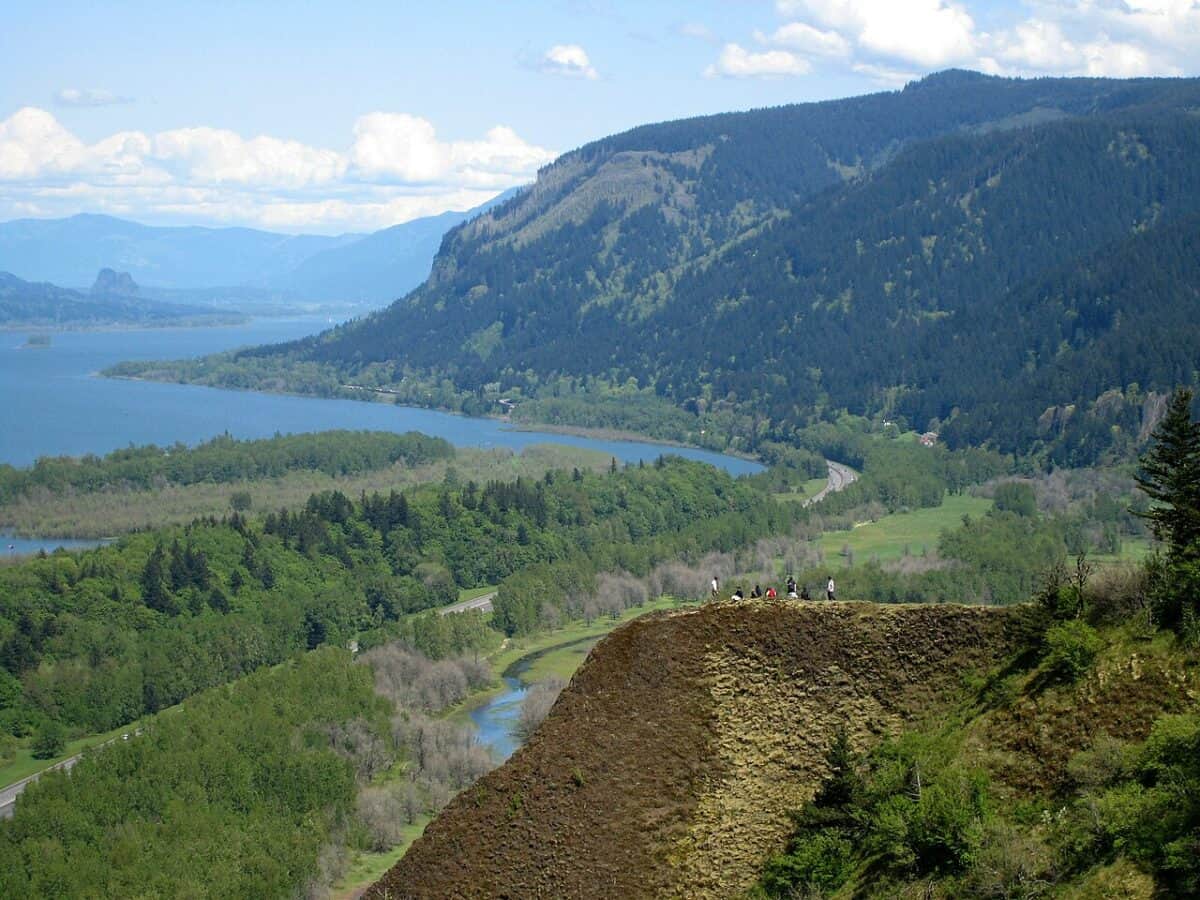 river to find whales