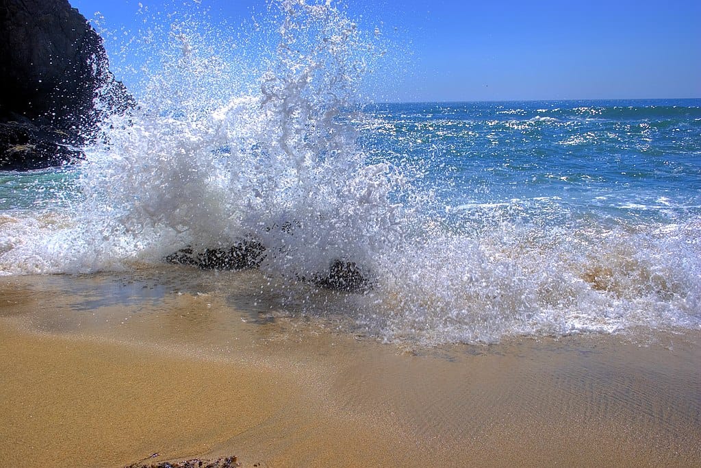 Whale at cove state beach