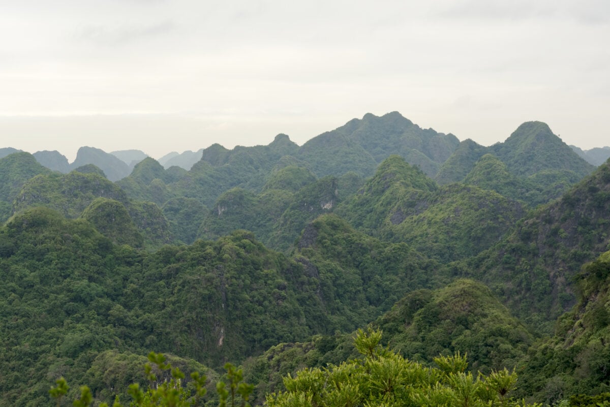 A national park in Vietnam
