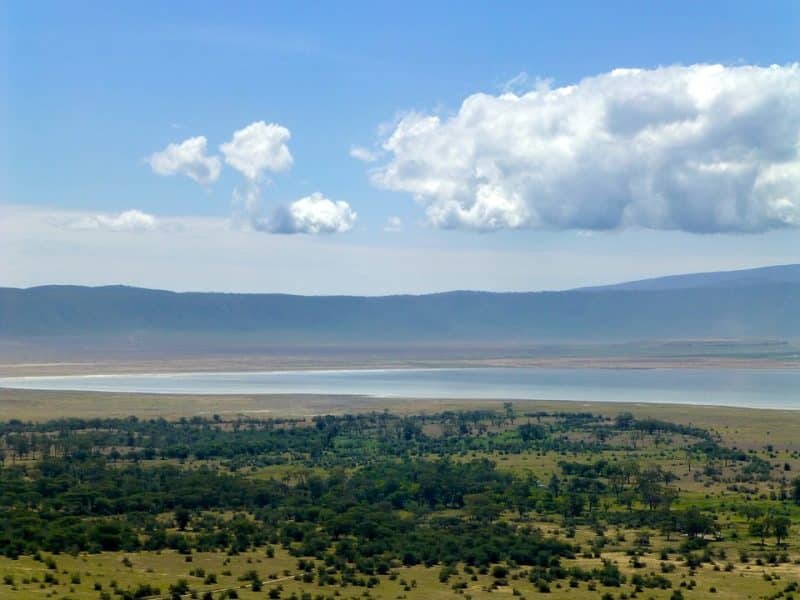 The top 10 wildlife destinations, Ngorongoro Crater| AnimalsAroundtheGlobe