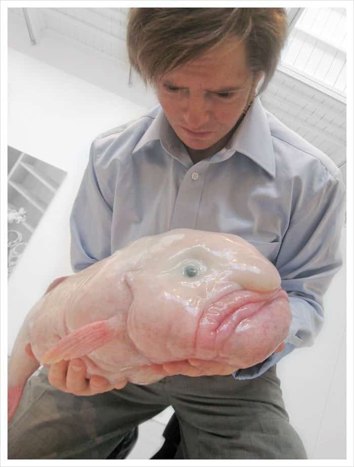 Blobfish - top 10 ugly animals
