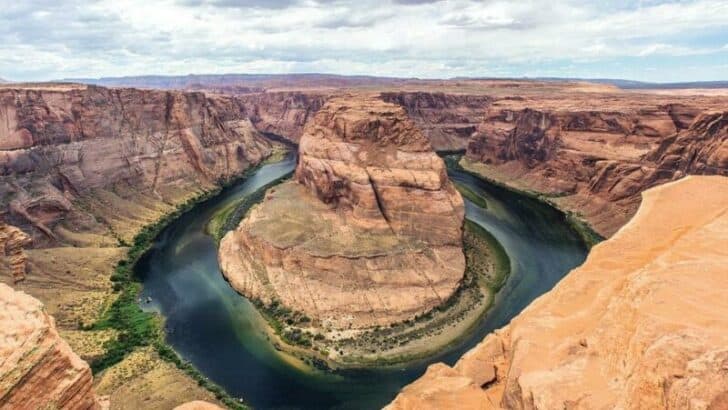 Animals of Arizona