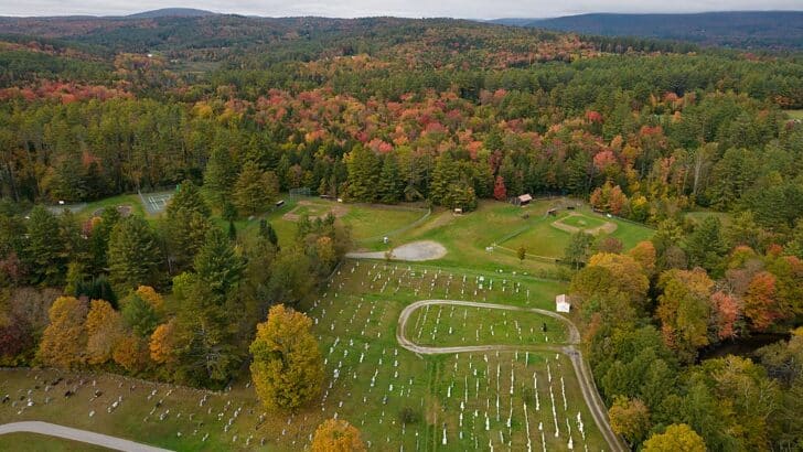 Animals and Wildlife in Vermont