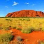 Top 10 Animals in the Australian Outback