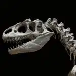 Top 10 Dangerous Prehistoric Animals