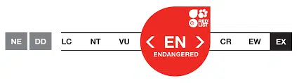 iucn endangered list