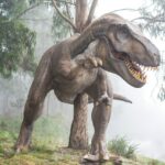 Allosaurus vs T-Rex: A Showdown