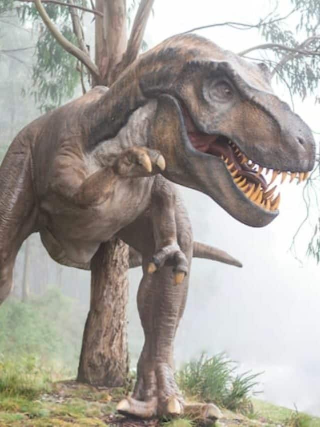 Allosaurus vs T-Rex: A Showdown
