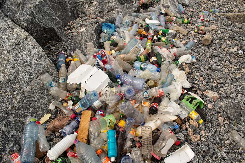 Plastic Waste.