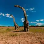 Brontosaurus vs. Brachiosaurus