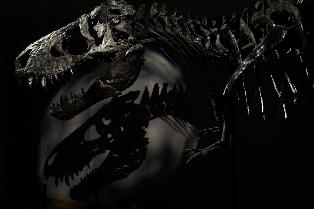 T-Rex dangerous prehistoric animals