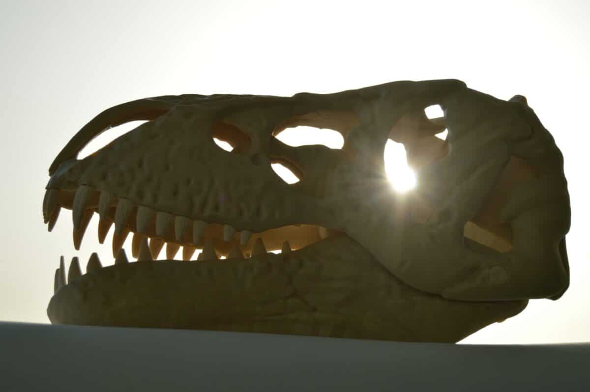 Spinosaurus Vs. T-Rex