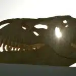 Spinosaurus Vs. T-Rex