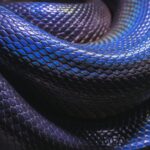 Purple Snakes: Reptiles Resembling a Precious Gemstone