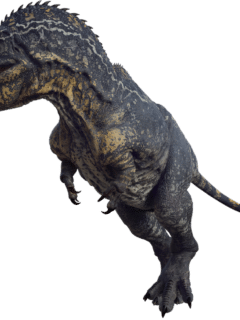 Spinosaurus Vs. Giganotosaurus