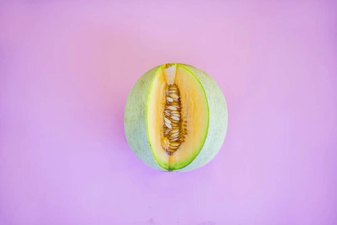 cantaloupe-animals-around-the-globe