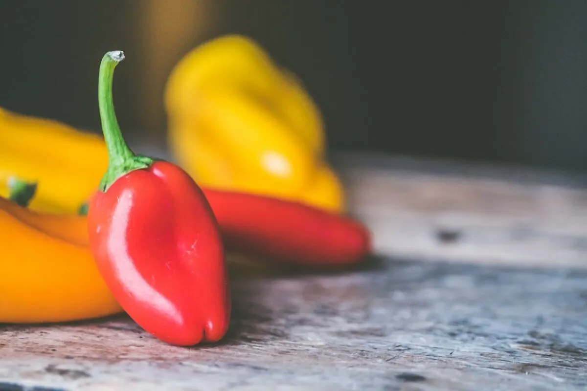 can cats eat bell peppers