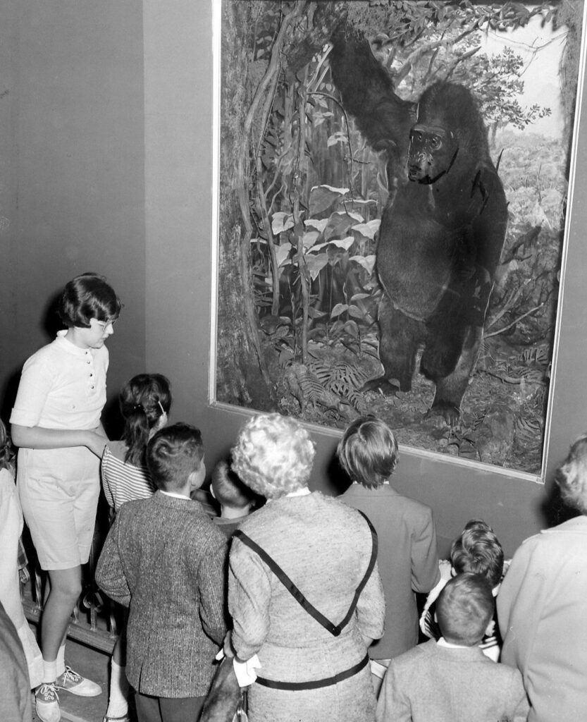 largest gorilla ever