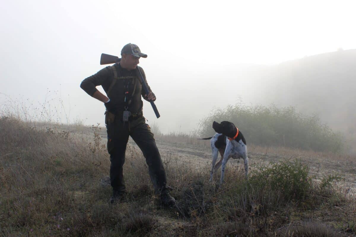 How Hunting Dogs Can Help You Start Your Journey As A Hunter