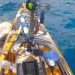 Watch This: Fisherman's Encounter with Massive Tiger Shark