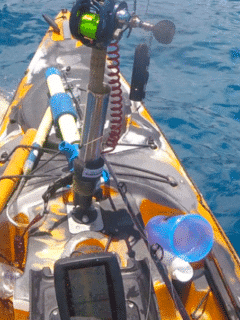 Watch This: Fisherman's Encounter with Massive Tiger Shark