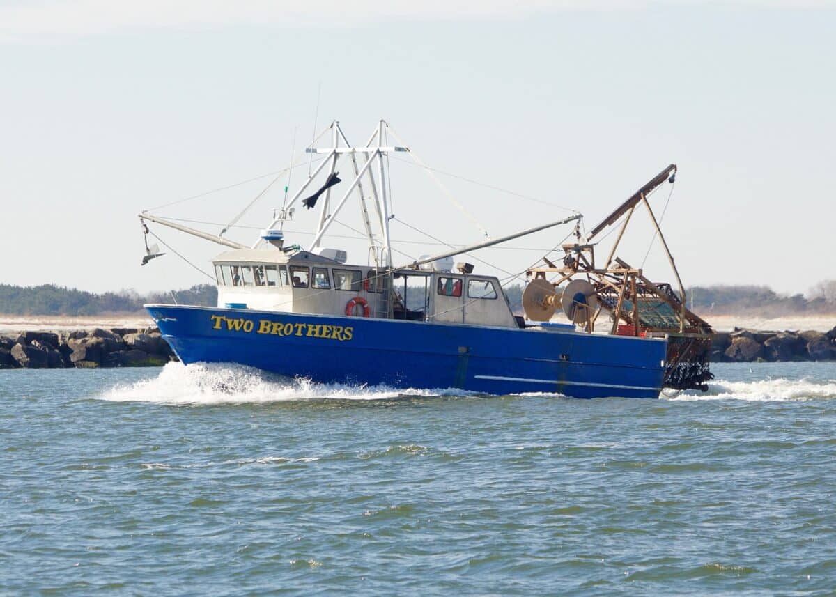 commercial fishing