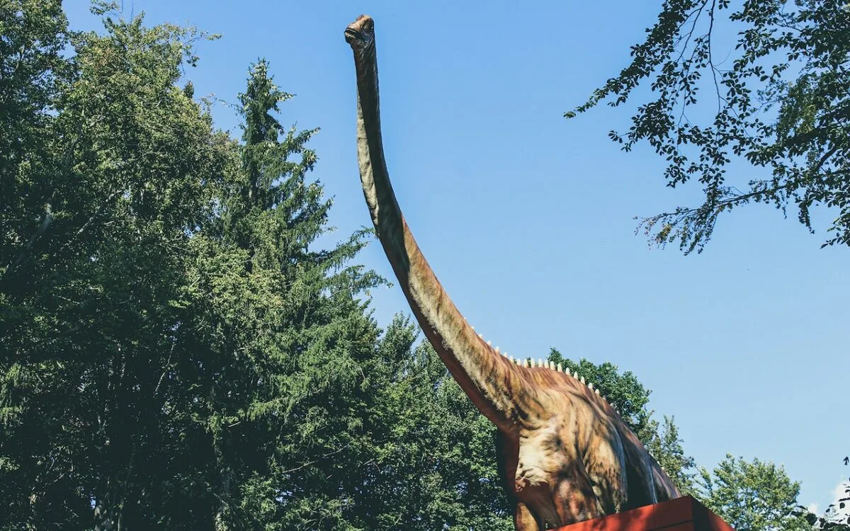 long neck dino