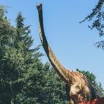 Discover the Fascinating World of Long-Neck Dinosaurs