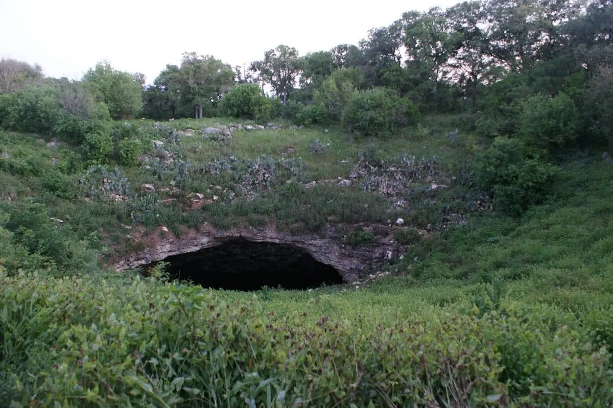bracken cave
