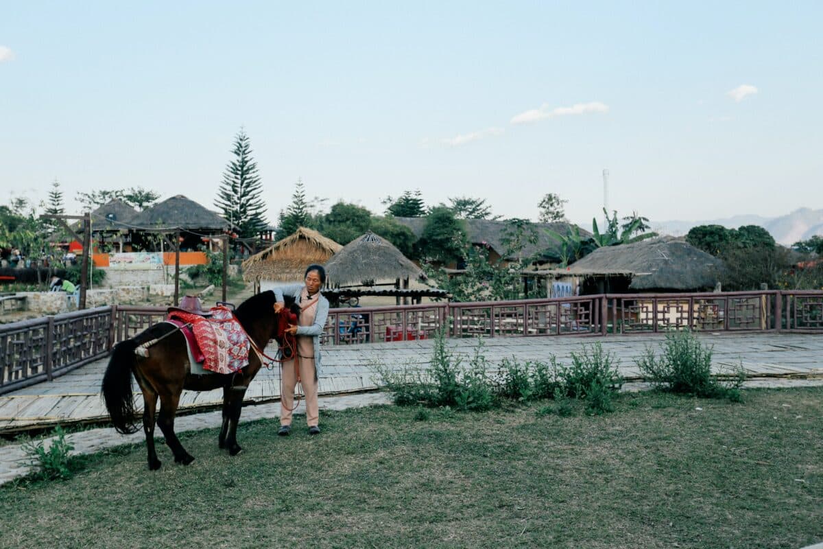 Grooming pony