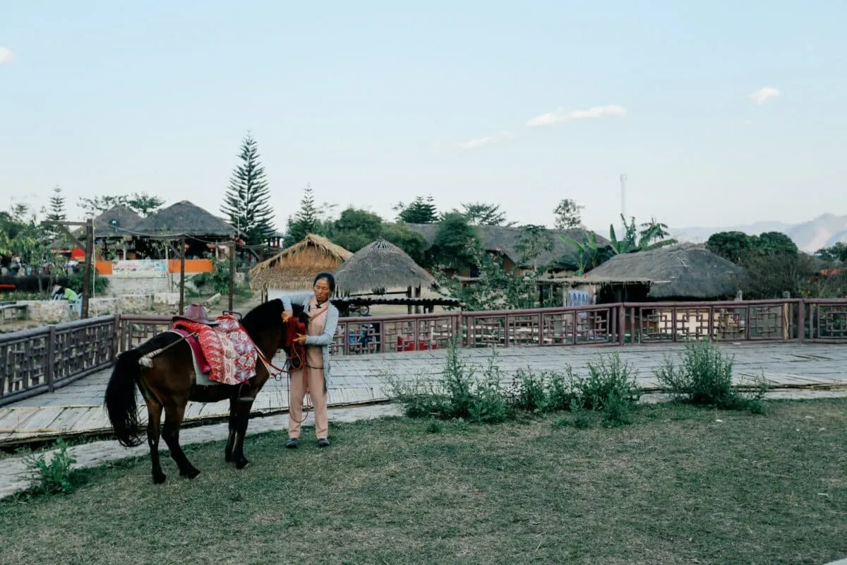 Grooming pony