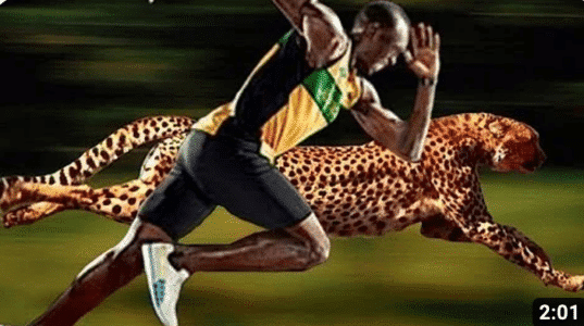 Usain Bolt Vs. Cheetah: The Ultimate Speed Showdown