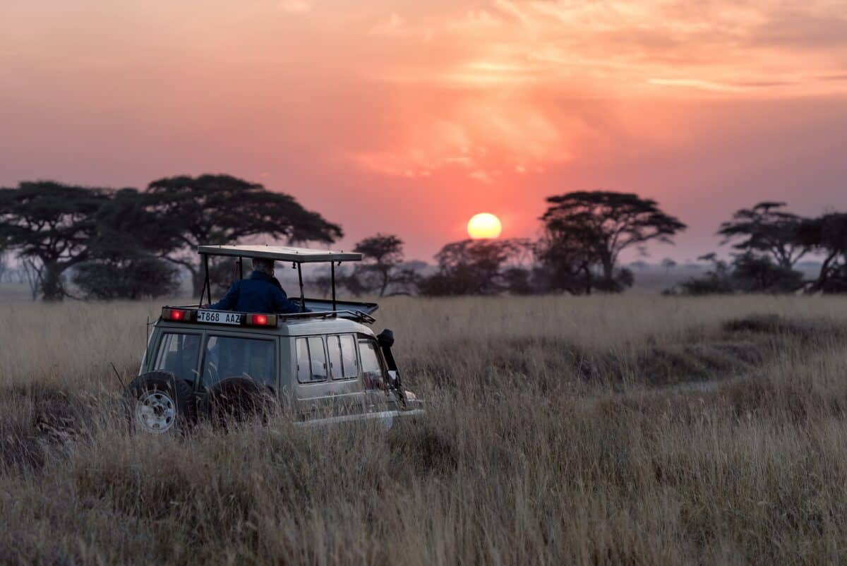 sunrise at safari 
