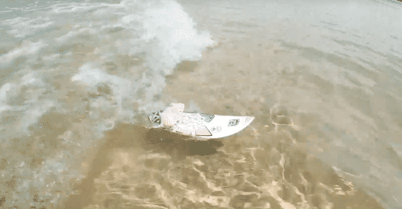 Meet These Remarkable Surfing Mice