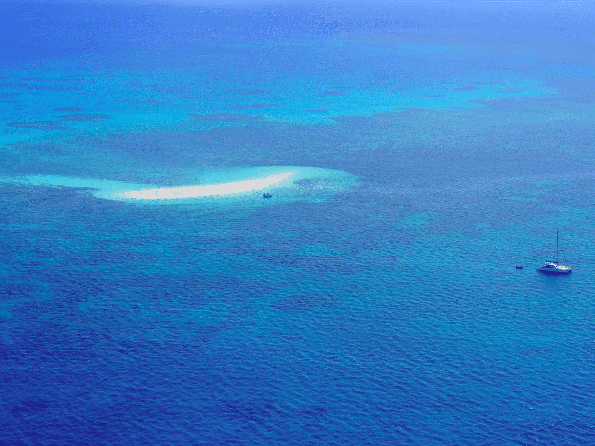 Expansive Coral Reef