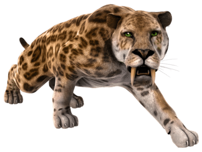 Discover The Largest Saber-Toothed Tiger