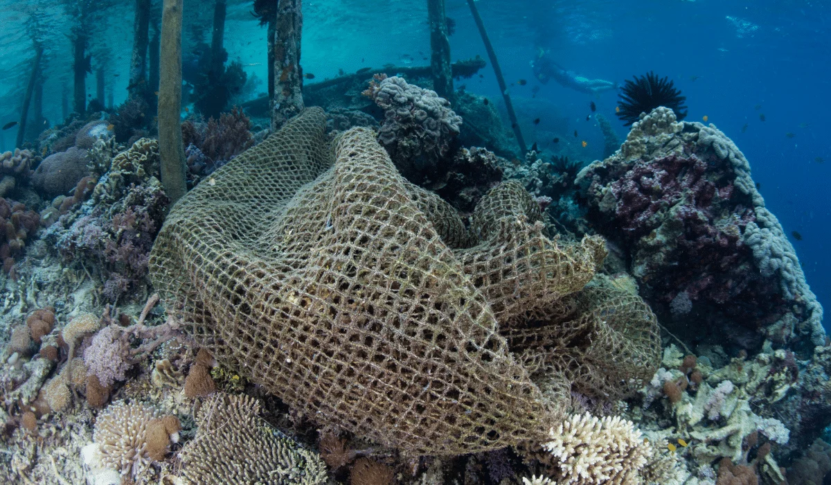 ghost fishing net on coral reef