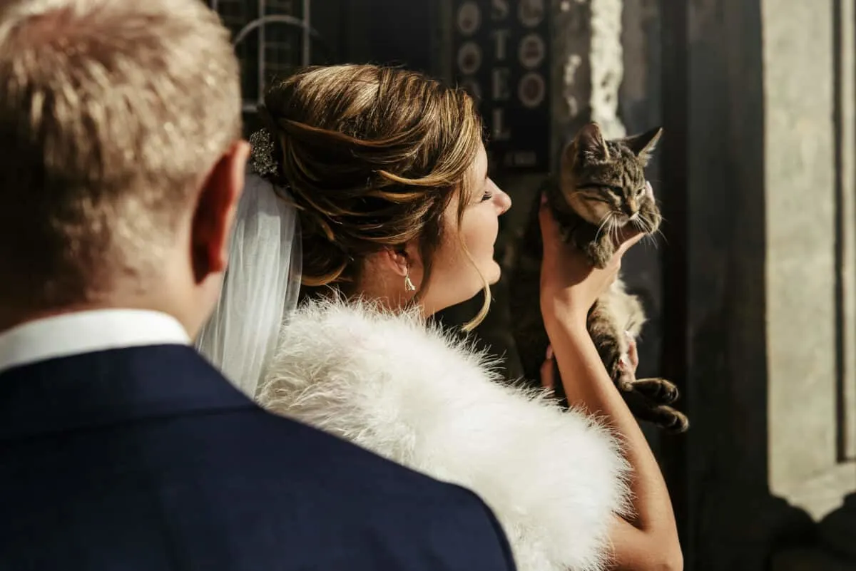 cat acts as witness at wedding