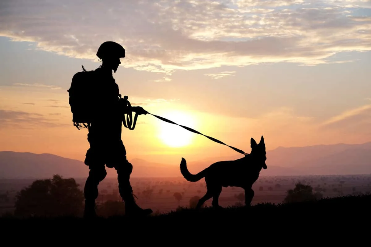 Hund und Soldat