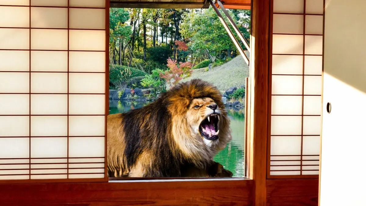 Ranger Wakes Up By a Lion Staring at Him