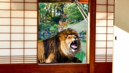 Ranger Wakes Up By a Lion Staring at Him Through the Window