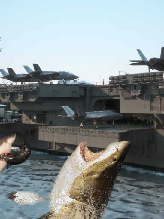 What Happens When Sharks Approach US-Aircraft Carriers